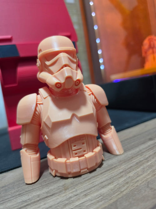 Busto Stormtrooper impreso en resina - foto real